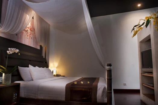 The Seiryu Boutique Villas