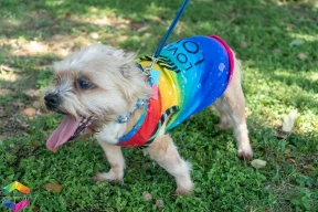 Gay Parties & Events test 1