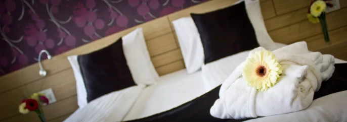 Z Executive Boutique Hotel