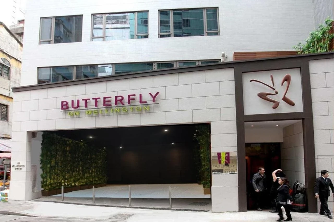 Butterfly on Wellington