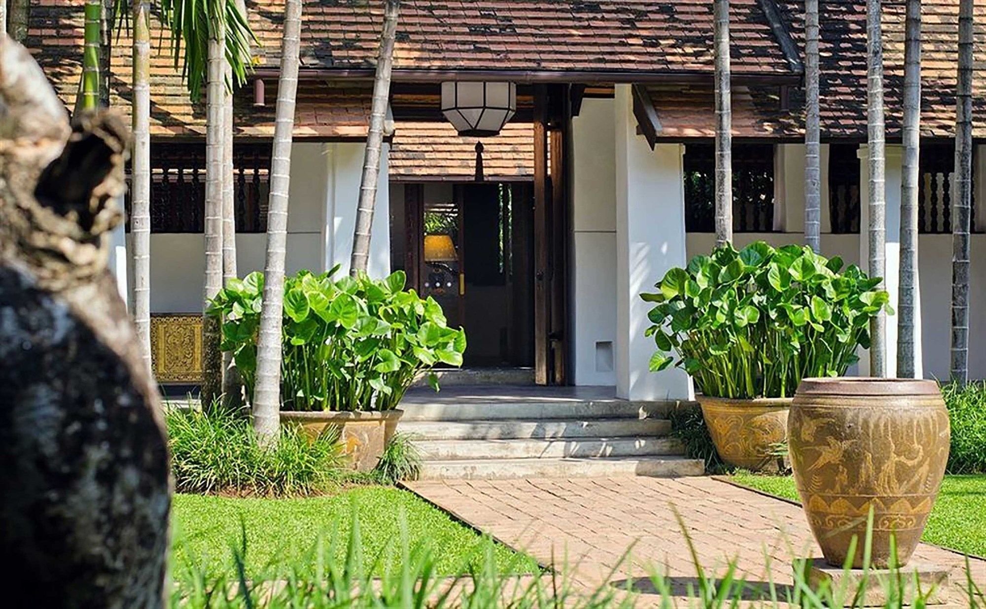 Rachamankha