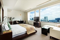 Hotel The Celestine Tokyo Shiba