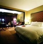 Grand Bohemian Hotel Orlando Autograph Collection
